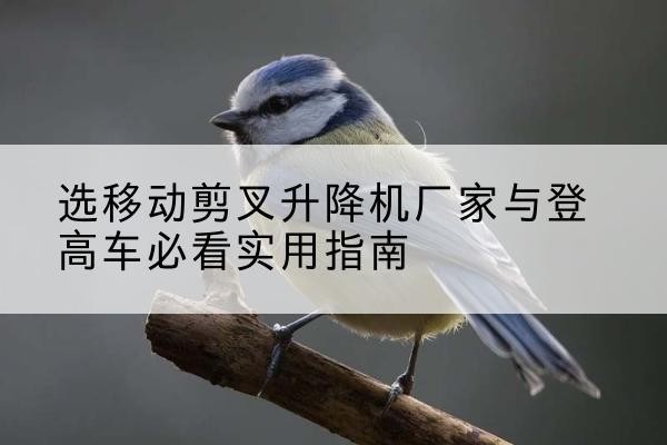辽宁电动升降机厂家-选移动剪叉升降机厂家与登高车必看实用指南