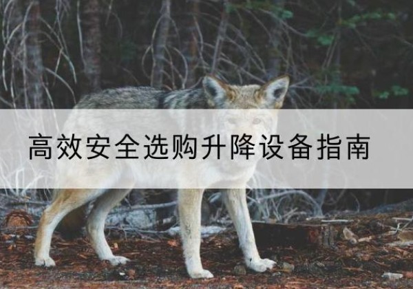 辽宁升降货梯厂家推荐-*安全选购升降设备指南