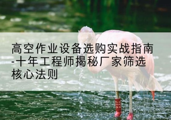 辽宁剪叉式升降机厂家-高空作业设备选购实战指南-十年工程师揭秘厂家筛选核心法则